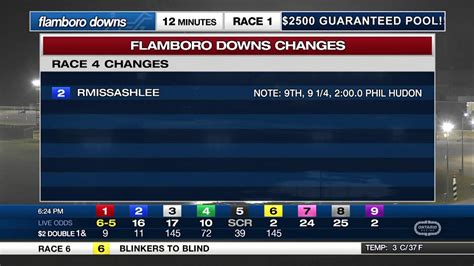 flamboro down|flamboro downs live stream.